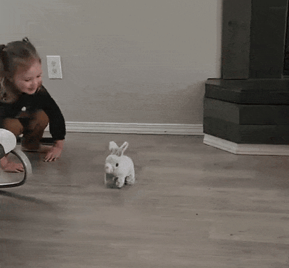 HappyHopper™ Hopping Rabbit Toy